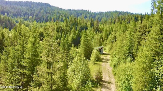 876 Alpine Dr, Fernwood, ID 83830