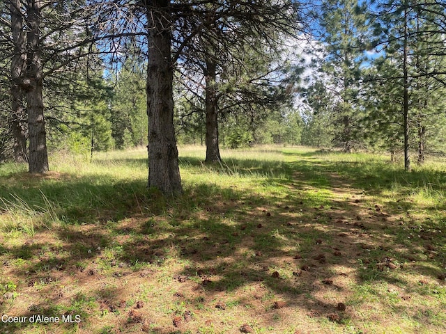 5727 S Odelin Ln, Harrison, ID 83833