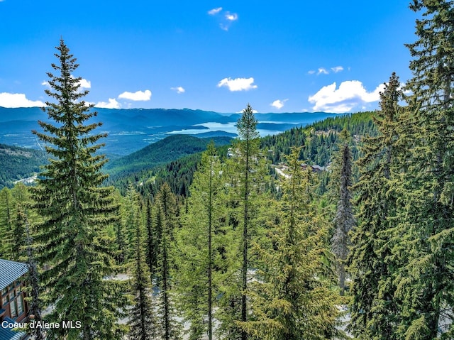 B1L5 Tall Timber, Sandpoint, ID 83864