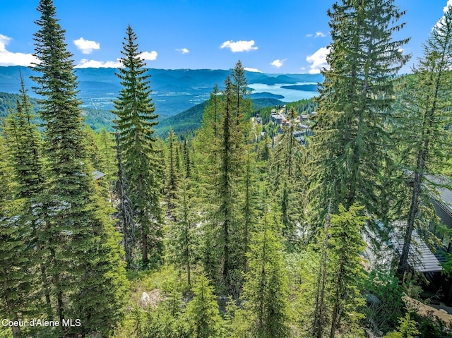 B1L5 Tall Timber, Sandpoint, ID 83864