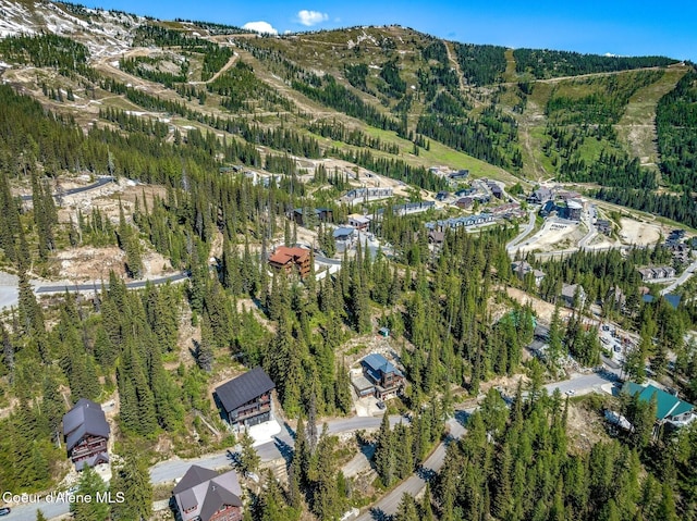 B1L5 Tall Timber, Sandpoint, ID 83864