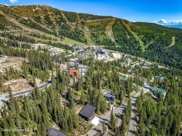 B1L5 Tall Timber, Sandpoint, ID 83864