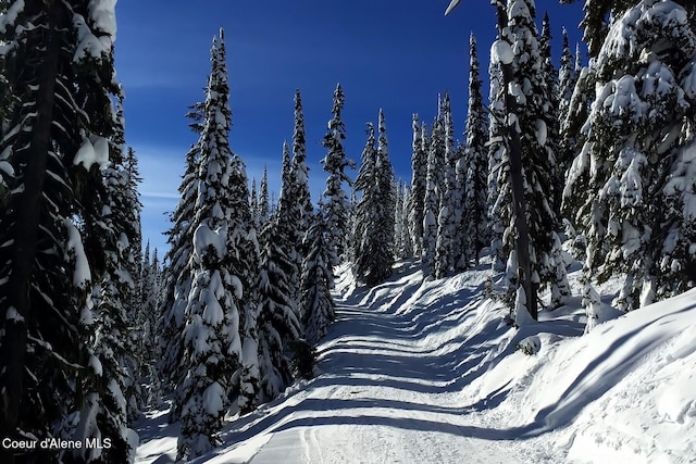 B1L5 Tall Timber, Sandpoint, ID 83864