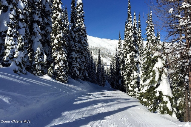 B1L5 Tall Timber, Sandpoint, ID 83864