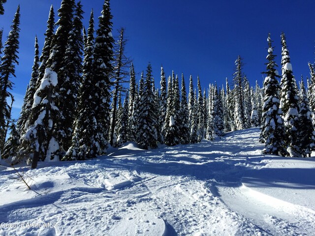 B1L5 Tall Timber, Sandpoint, ID 83864