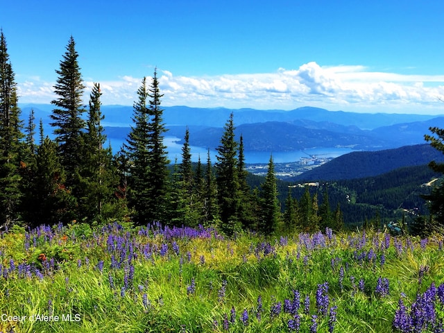 B1L5 Tall Timber, Sandpoint, ID 83864