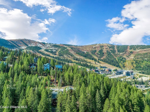 B1L5 Tall Timber, Sandpoint, ID 83864