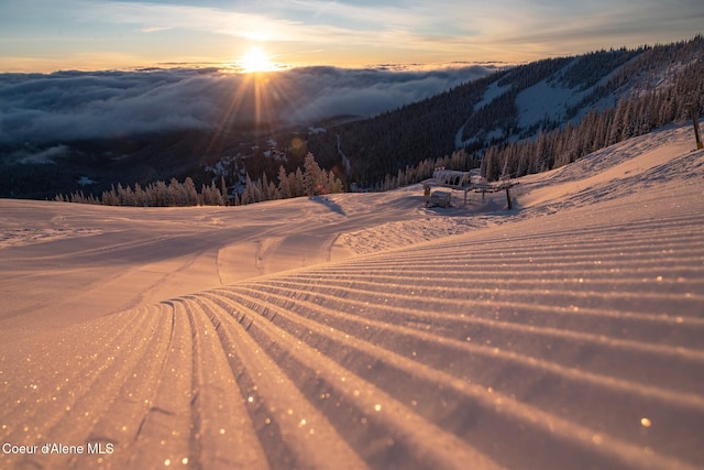 B1L5 Tall Timber, Sandpoint, ID 83864
