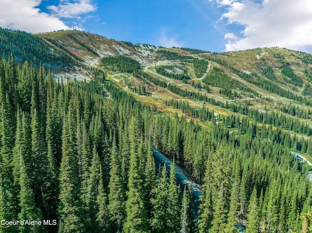 B1L5 Tall Timber, Sandpoint, ID 83864