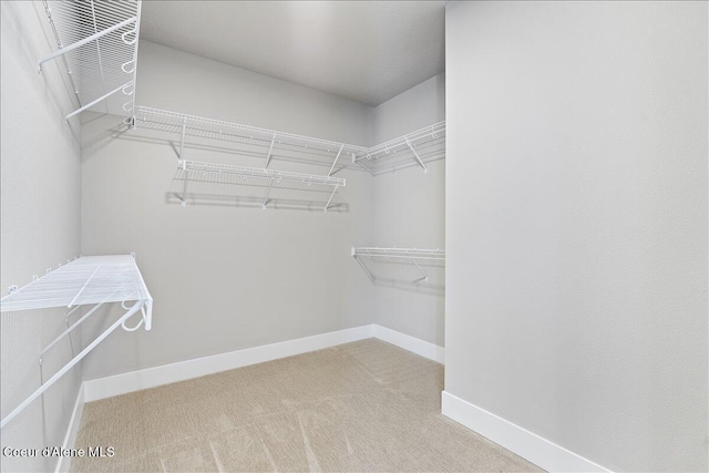 3510 N Cyprus Fox Loop, Post Falls, ID 83854 - spacious closet featuring carpet flooring