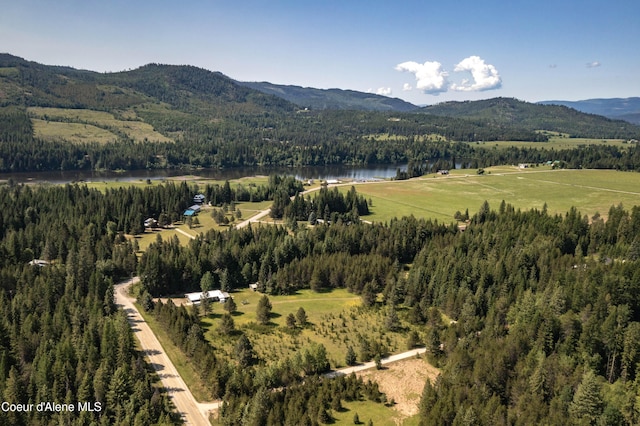 12 Otts Basin Rd, Sagle, ID 83860 - view of mountain background with a forest and a large body of water