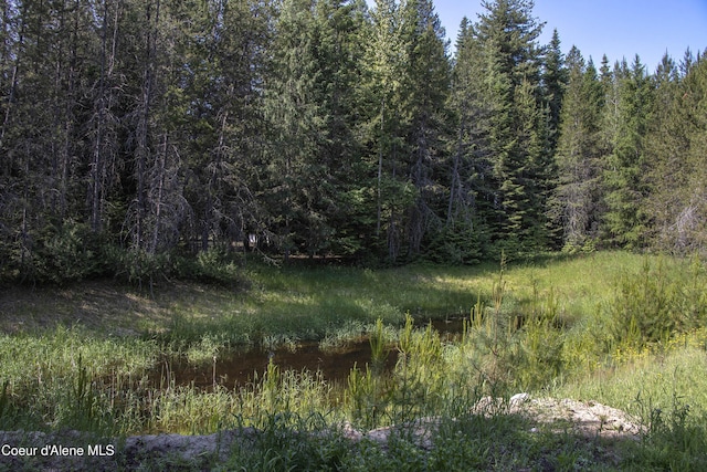 12 Otts Basin Rd, Sagle, ID 83860 - view of woods