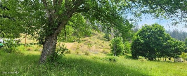TBD Highway 12, Kooskia, ID 83539