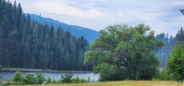 TBD Highway 12, Kooskia, ID 83539