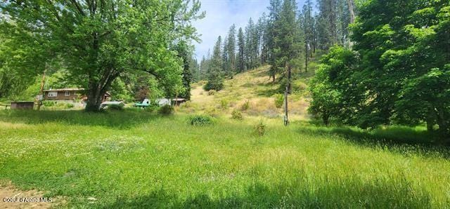 TBD Highway 12, Kooskia, ID 83539