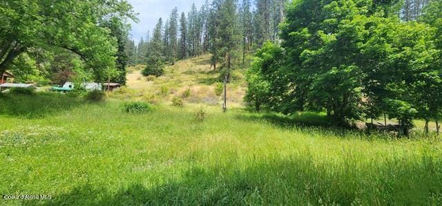 TBD Highway 12, Kooskia, ID 83539