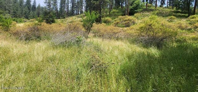 TBD Highway 12, Kooskia, ID 83539