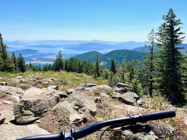 5 Crystal Springs Ct, Sandpoint, ID 83864 - view of mountain backdrop featuring a forest
