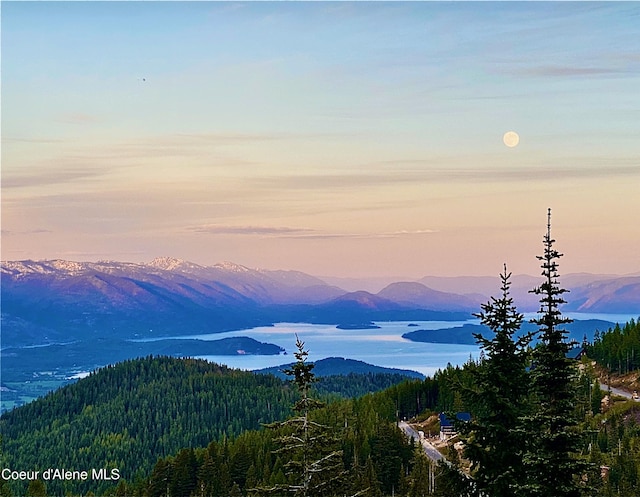 5 Crystal Springs Ct, Sandpoint, ID 83864 - view of mountain background featuring a forest
