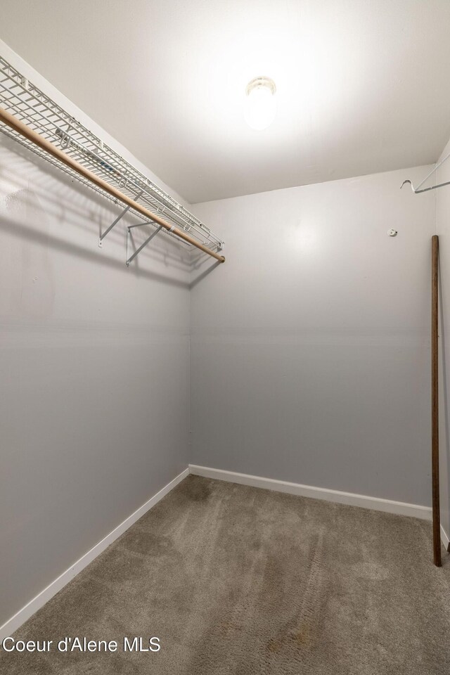 405 W 22nd Ave, Post Falls, ID 83854 - walk in closet with carpet flooring