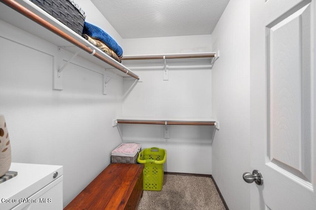 7090 N Epervier Ln, Coeur Dalene, ID 83815 - walk in closet featuring carpet flooring