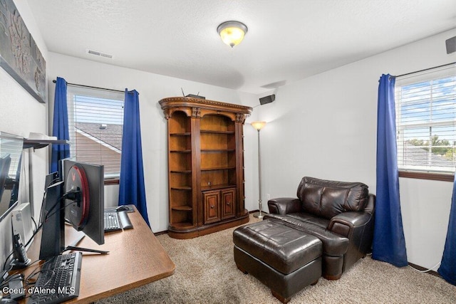 7090 N Epervier Ln, Coeur Dalene, ID 83815 - view of carpeted office space
