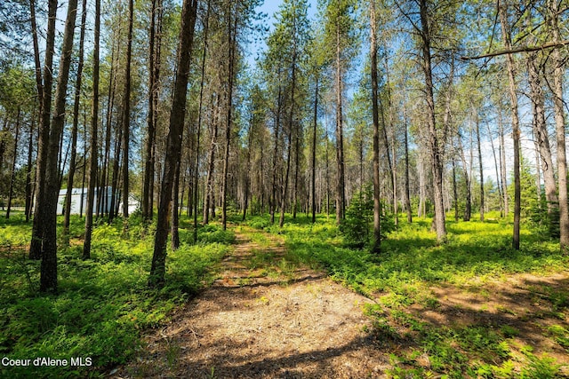 699 W Ranch Ct, Rathdrum, ID 83858 - view of wooded area