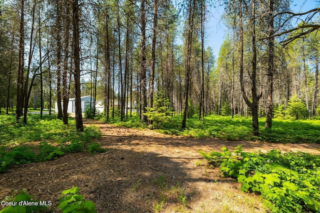 699 W Ranch Ct, Rathdrum, ID 83858 - view of yard