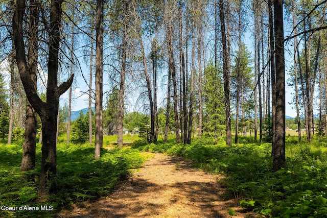 699 W Ranch Ct, Rathdrum, ID 83858 - view of local wilderness featuring a mountain backdrop