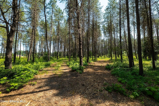 699 W Ranch Ct, Rathdrum, ID 83858 - view of wooded area