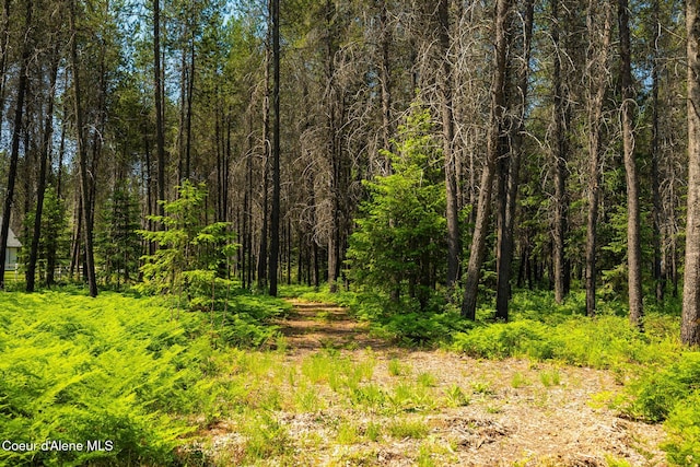699 W Ranch Ct, Rathdrum, ID 83858 - view of tree filled area