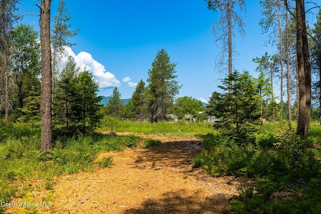 699 W Ranch Ct, Rathdrum, ID 83858 - view of local wilderness