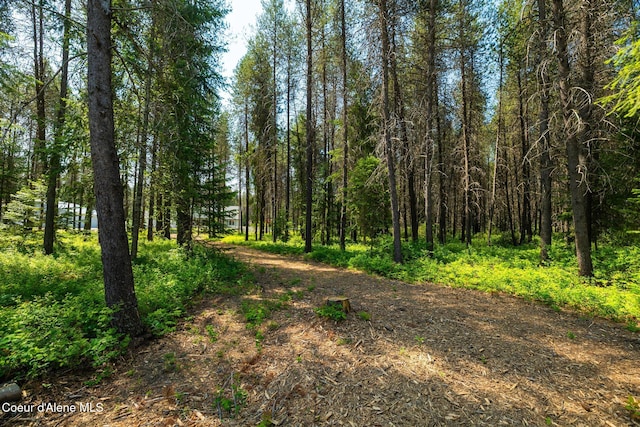 699 W Ranch Ct, Rathdrum, ID 83858 - view of woods