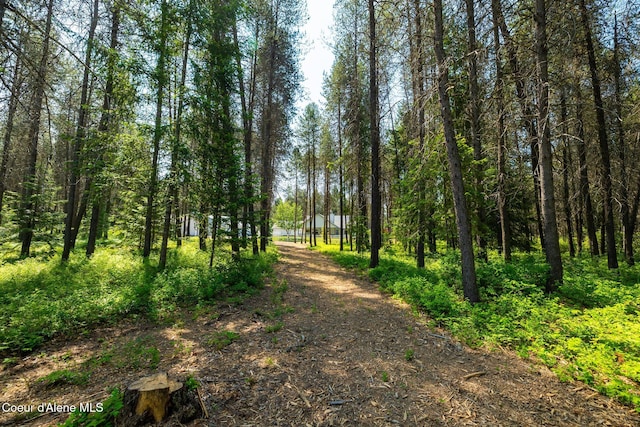 699 W Ranch Ct, Rathdrum, ID 83858 - view of woods