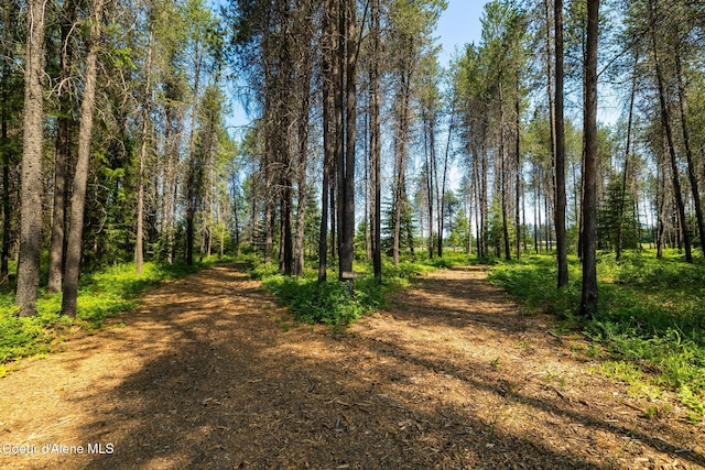 699 W Ranch Ct, Rathdrum, ID 83858 - view of tree filled area