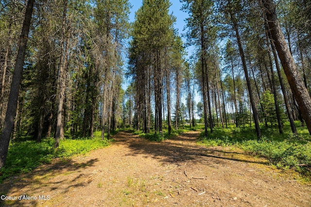 699 W Ranch Ct, Rathdrum, ID 83858 - view of wooded area