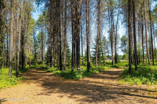 699 W Ranch Ct, Rathdrum, ID 83858 - view of woods