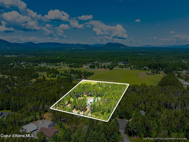 699 W Ranch Ct, Rathdrum, ID 83858 - aerial view of property and surrounding area with a mountain backdrop and property parcel outlined