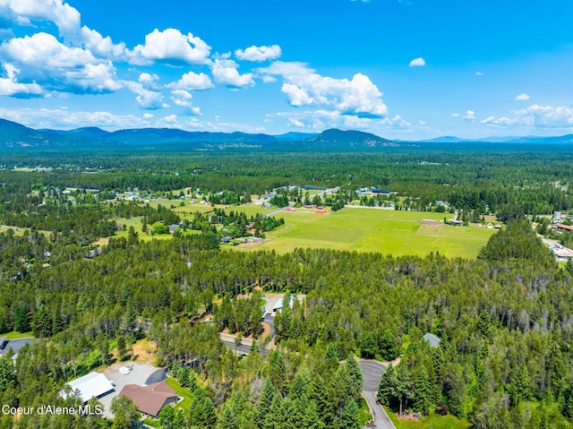 699 W Ranch Ct, Rathdrum, ID 83858 - bird's eye view of a forest and a mountain backdrop