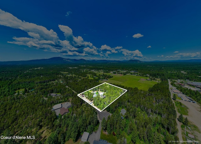 699 W Ranch Ct, Rathdrum, ID 83858 - aerial overview of property's location with a heavily wooded area and property parcel outlined