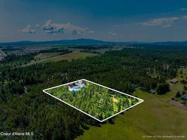 699 W Ranch Ct, Rathdrum, ID 83858 - view of property location with a forest and property parcel outlined