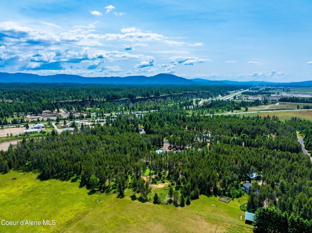 699 W Ranch Ct, Rathdrum, ID 83858 - drone / aerial view of mountains