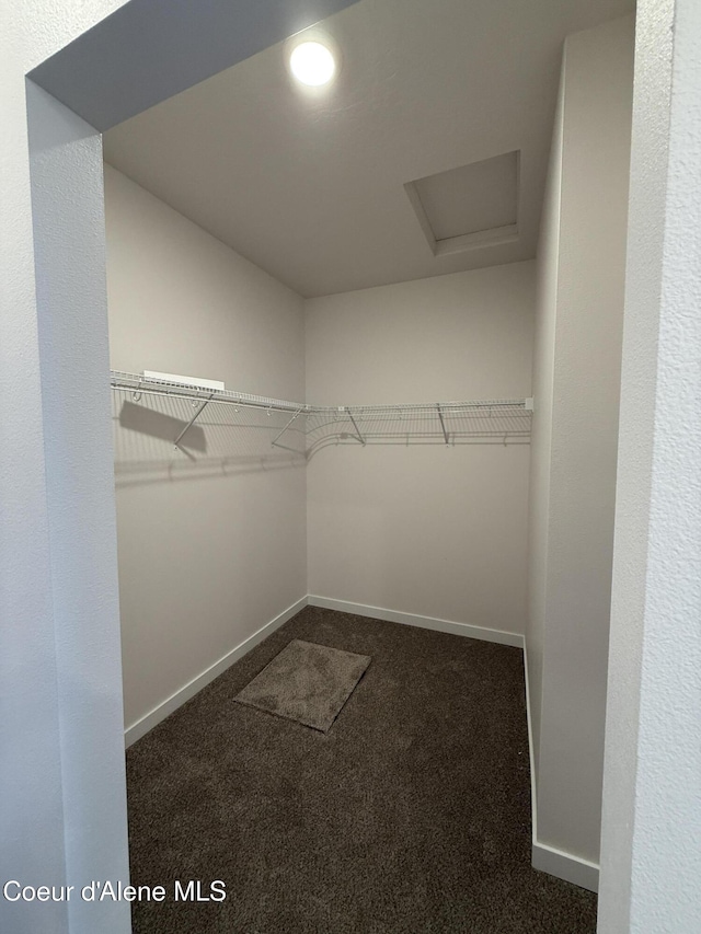 5103 E Rigel Ln, Post Falls, ID 83854 - spacious closet with carpet floors and attic access