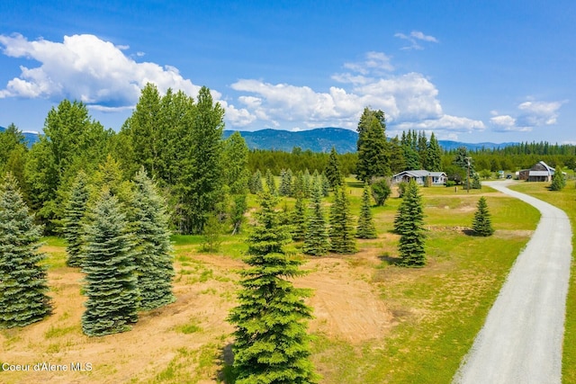 4119 Colburn Culver, Sandpoint, ID 83864 - view of mountain backdrop