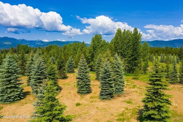 4119 Colburn Culver, Sandpoint, ID 83864 - view of mountain background with a heavily wooded area