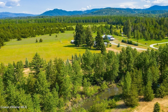 4119 Colburn Culver, Sandpoint, ID 83864 - drone / aerial view of a mountain backdrop
