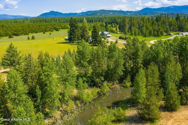 4119 Colburn Culver, Sandpoint, ID 83864 - bird's eye view of mountains