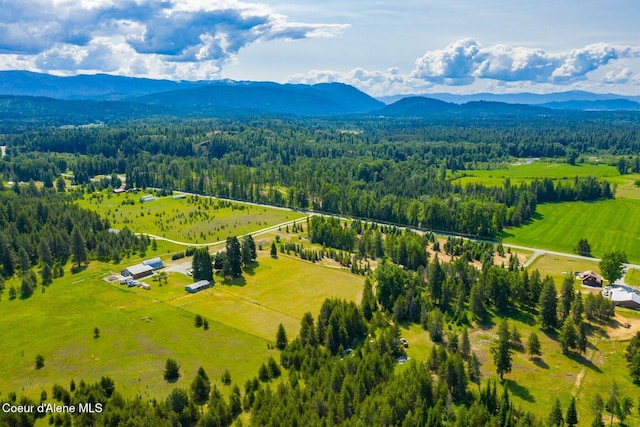 4119 Colburn Culver, Sandpoint, ID 83864 - overview of rural landscape with a forest and a mountainous background