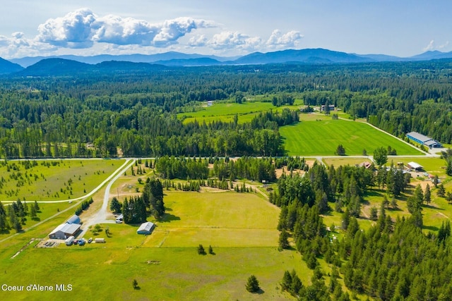 4119 Colburn Culver, Sandpoint, ID 83864 - overview of rural landscape with a forest and mountains