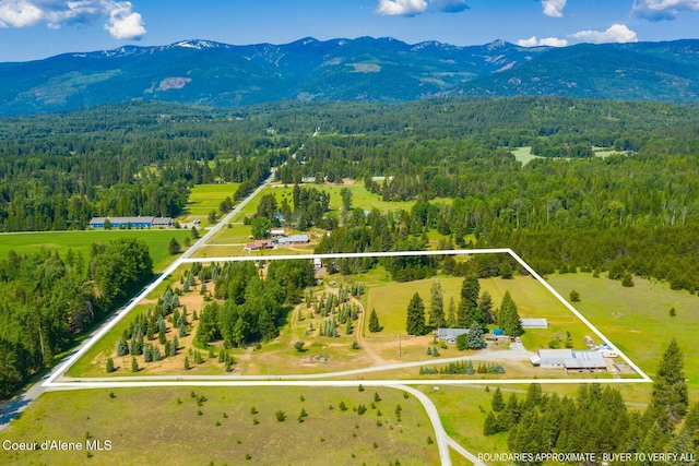 4119 Colburn Culver, Sandpoint, ID 83864 - aerial view of property and surrounding area with a mountain backdrop and property parcel outlined